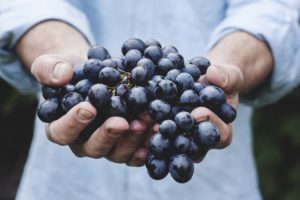 food-healthy-man-person_blaabaer